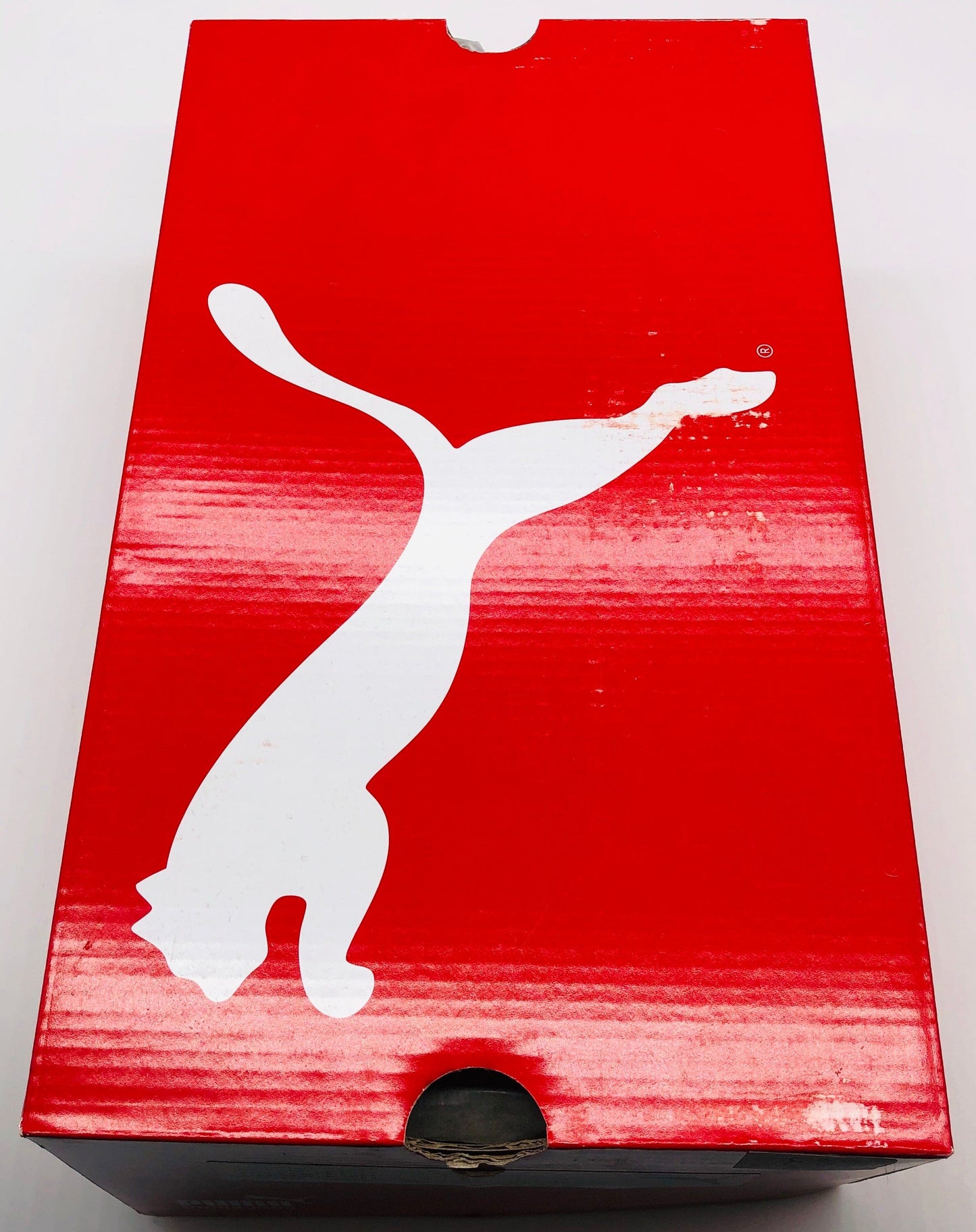 Puma Evospeed 1 K FG